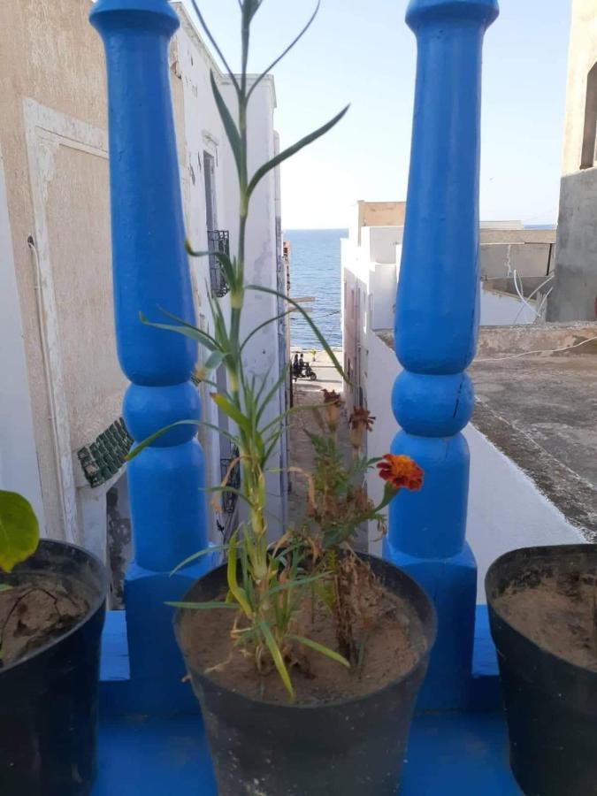 Maison Albatros المهدية المظهر الخارجي الصورة