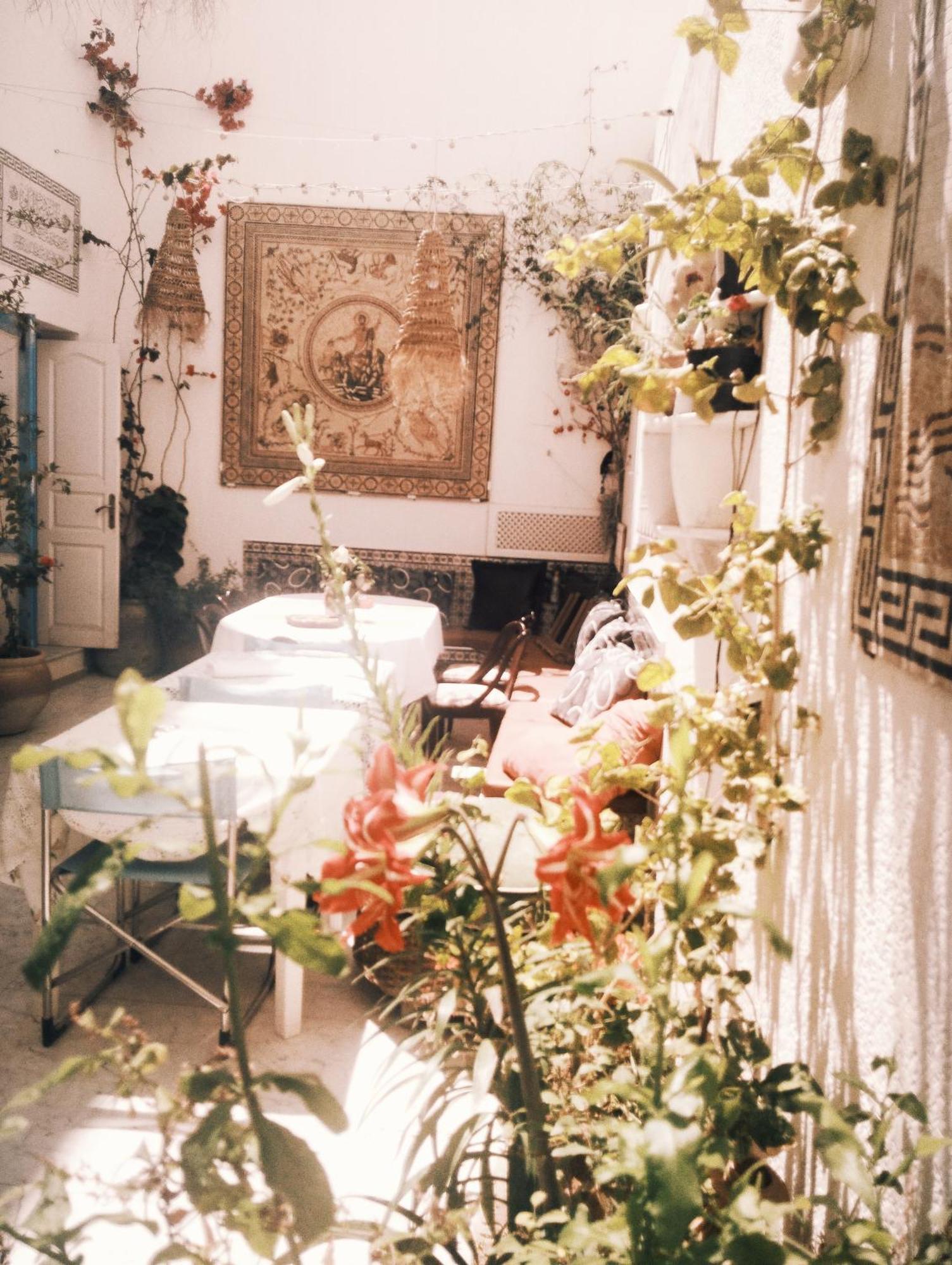 Maison Albatros المهدية المظهر الخارجي الصورة