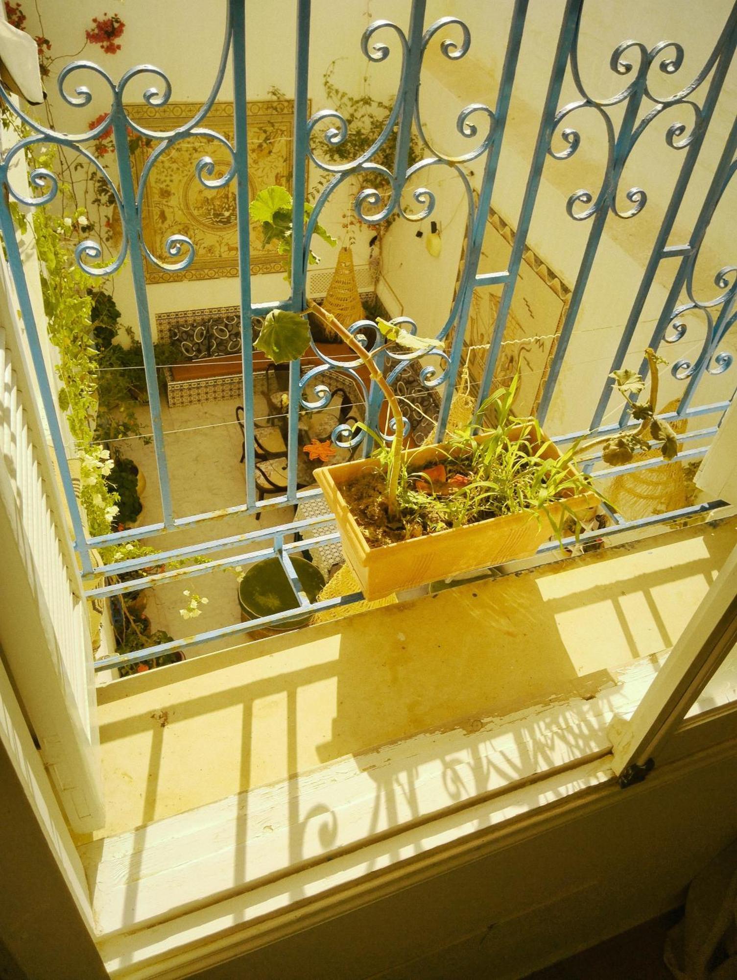 Maison Albatros المهدية المظهر الخارجي الصورة