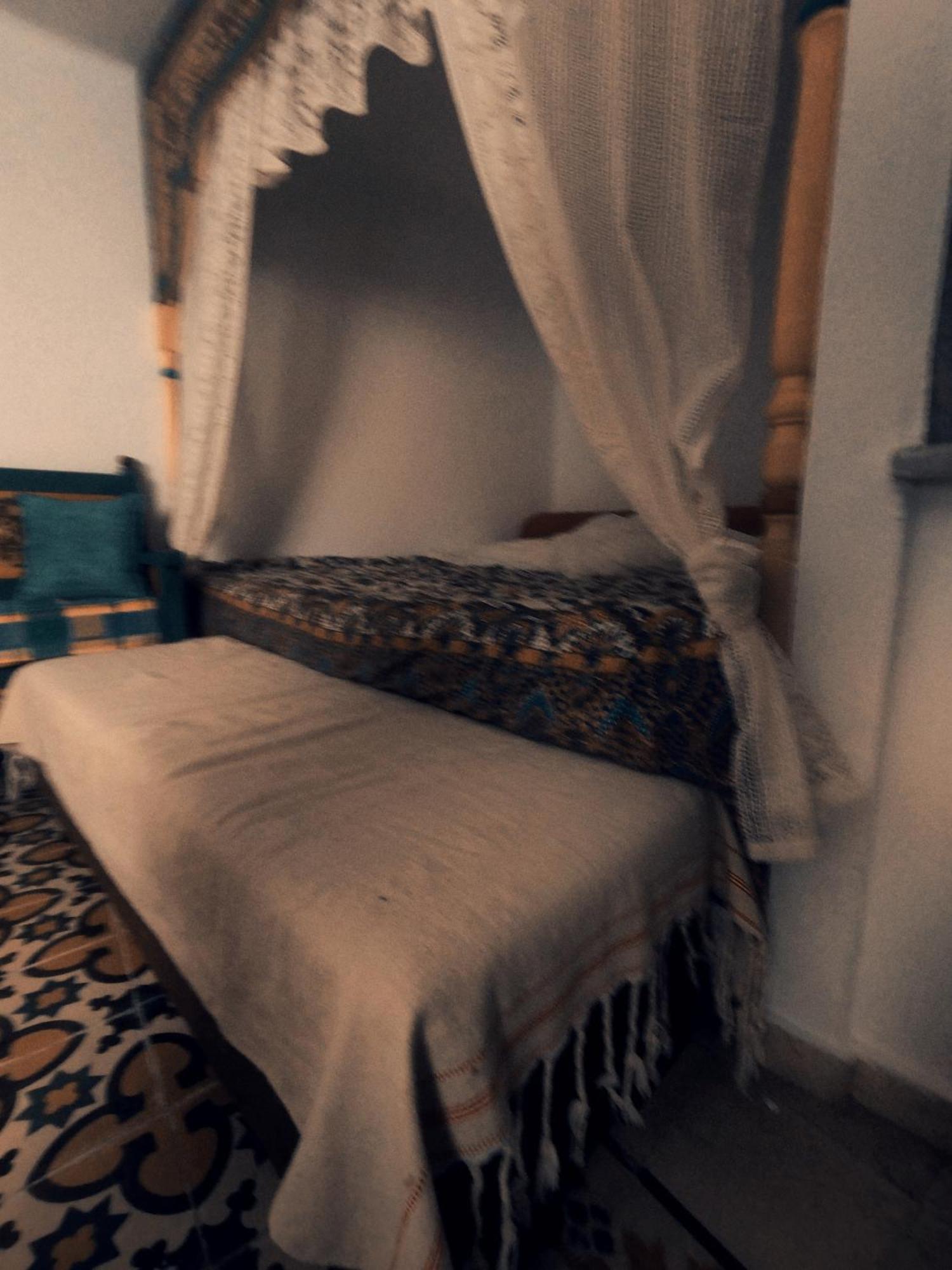 Maison Albatros المهدية المظهر الخارجي الصورة